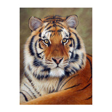 Load image into Gallery viewer, Tiger - Full Drill Diamond Painting - 40x50cm