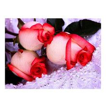 Load image into Gallery viewer, Rose - Full Drill Diamond Painting