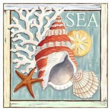 Load image into Gallery viewer, Sea Snail - Full Drill Diamond Painting