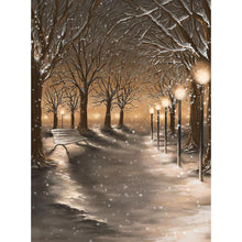 Load image into Gallery viewer, Road Lights - Full Drill Diamond Painting
