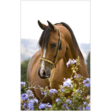 Load image into Gallery viewer, Horse Flowers - Full Drill Diamond Painting
