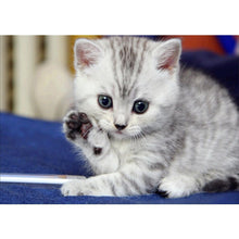 Load image into Gallery viewer, Hello Cat - Full Drill Diamond Painting