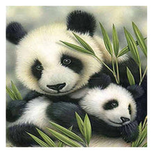 Load image into Gallery viewer, Cute Panda - Full Drill Diamond Painting