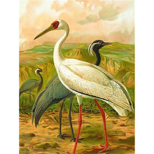 Load image into Gallery viewer, Crane - Full Drill Diamond Painting