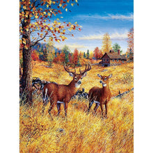 Load image into Gallery viewer, Gift - Full Drill Diamond Painting