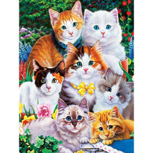 Load image into Gallery viewer, Cat - Full Drill Diamond Painting