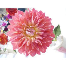 Load image into Gallery viewer, Gifts - Full Drill Diamond Painting