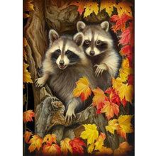 Load image into Gallery viewer, Raccoon - Full Drill Diamond Painting
