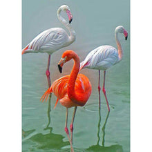 Load image into Gallery viewer, Flamingo - Full Drill Diamond Painting