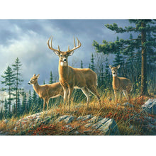 Load image into Gallery viewer, Deer - Full Drill Diamond Painting