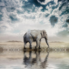 Load image into Gallery viewer, Elephant - Full Drill Diamond Painting