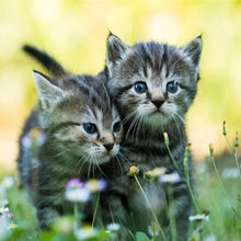 Load image into Gallery viewer, Cat - Full Drill Diamond Painting