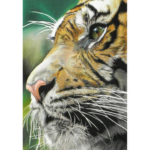 Load image into Gallery viewer, Tiger - Full Drill Diamond Painting