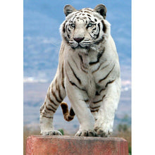 Load image into Gallery viewer, Tiger - Full Drill Diamond Painting
