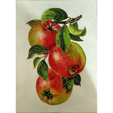 Load image into Gallery viewer, Fruit - Full Drill Diamond Painting