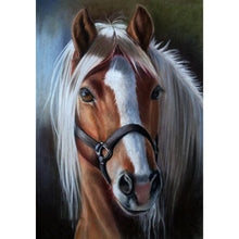 Load image into Gallery viewer, Horse - Full Drill Diamond Painting