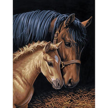 Load image into Gallery viewer, Horse - Full Drill Diamond Painting