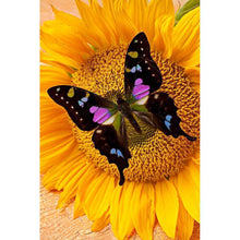 Load image into Gallery viewer, Butterfly - Full Drill Diamond Painting