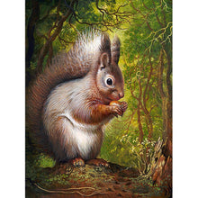 Load image into Gallery viewer, Squirrel - Full Drill Diamond Painting