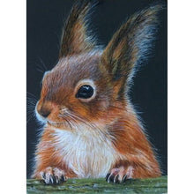 Load image into Gallery viewer, Squirrel - Full Drill Diamond Painting