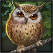 Load image into Gallery viewer, Owl - Full Drill Diamond Painting
