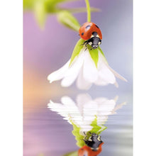 Load image into Gallery viewer, Flower Ladybug - Full Drill Diamond Painting