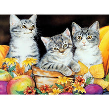 Load image into Gallery viewer, Cat - Full Drill Diamond Painting