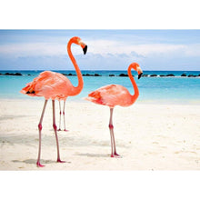 Load image into Gallery viewer, Pink Bird - Full Drill Diamond Painting