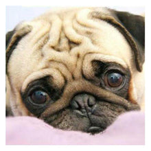 Load image into Gallery viewer, Dog - Full Drill Diamond Painting