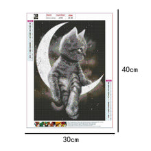 Load image into Gallery viewer, Moon Cat - Full Drill Diamond Painting