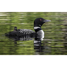 Load image into Gallery viewer, Diving Bird - Full Drill Diamond Painting