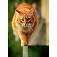 Load image into Gallery viewer, Cat - Full Drill Diamond Painting