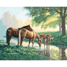 Load image into Gallery viewer, Drinking Horse - Full Drill Diamond Painting