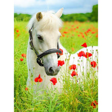 Load image into Gallery viewer, Horse - Full Drill Diamond Painting