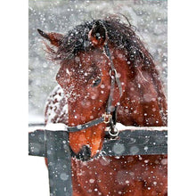 Load image into Gallery viewer, Horse - Full Drill Diamond Painting