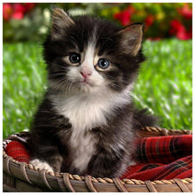 Load image into Gallery viewer, Lovely Cat - Full Drill Diamond Painting