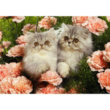 Load image into Gallery viewer, Flower Cat - Full Drill Diamond Painting