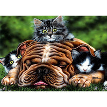 Load image into Gallery viewer, Dog Cat - Full Drill Diamond Painting
