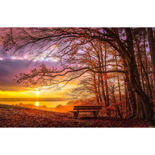 Load image into Gallery viewer, Forest Sunset - Full Drill Diamond Painting