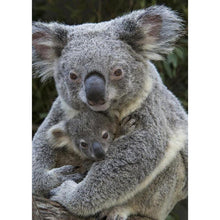 Load image into Gallery viewer, Cute Koala - Full Drill Diamond Painting