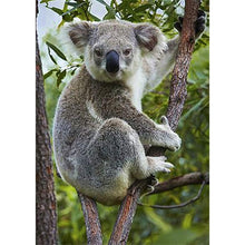 Load image into Gallery viewer, Cute Koala - Full Drill Diamond Painting