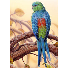 Load image into Gallery viewer, ParrotSet - Full Drill Diamond Painting