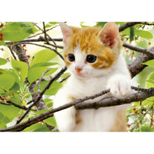 Load image into Gallery viewer, Cat - Full Drill Diamond Painting