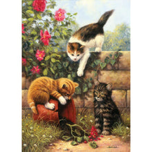 Load image into Gallery viewer, Cats - Full Drill Diamond Painting