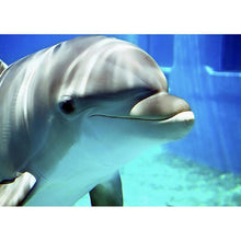 Load image into Gallery viewer, Swimming Dolphin - Full Drill Diamond Painting