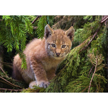 Load image into Gallery viewer, Jungle Cat - Full Drill Diamond Painting