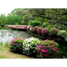 Load image into Gallery viewer, Landscape - Full Drill Diamond Painting