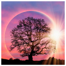 Load image into Gallery viewer, Tree Moon - Full Drill Diamond Painting