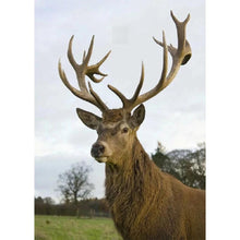 Load image into Gallery viewer, Full Elk - Full Drill Diamond Painting