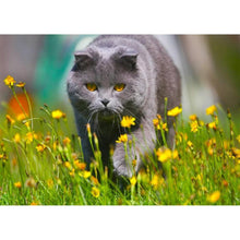 Load image into Gallery viewer, Walking Cat - Full Drill Diamond Painting